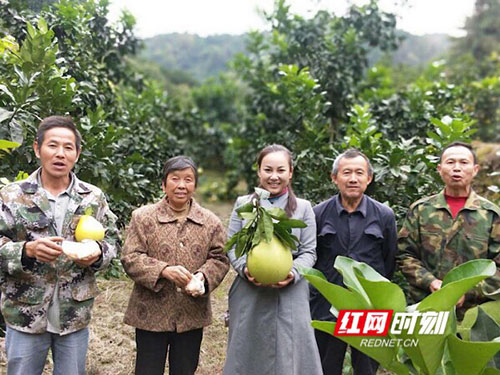 洪江市禹甜科技有限公司,農產品的批發零售 洪江市禹甜科技有限公司,農產品的批發零售