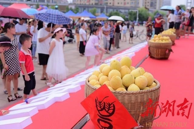 洪江市禹甜科技有限公司,黔陽瞐農產品的批發零售 洪江市禹甜科技有限公司,黔陽瞐農產品的批發零售