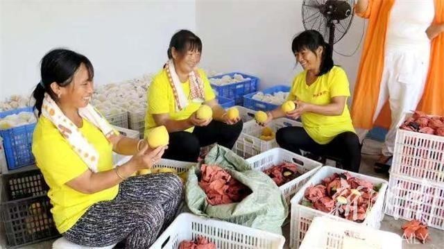 洪江市禹甜科技有限公司,黔陽瞐農產品的批發零售 洪江市禹甜科技有限公司,黔陽瞐農產品的批發零售