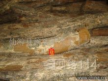 泉州大葉黃楊木地板批發(fā)與供應(yīng)指南